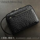 オーストリッチ Wファスナーセカンドメンズバッグ