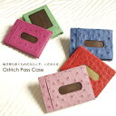 オーストリッチパスケース(No.9305)【レディース レデイース ladies レディス】【Ostrich】【％OFF セール sale】