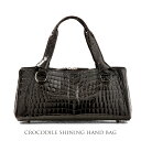 クロコダイル ハンドバッグ シャイニング 加工 セ