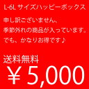 【即納】【送料無料】大きいサイズ レディース サイズが選べる 詰め込み ハッピーボックス L LL 3L 4L 5L 6L/海外 直輸入 インポート ワンピ 大人 カワイイ シンプル クィーンサイズ 11号 13号 15号 17号 19号 XL XXL XXXL XXXXL 福袋 2018 春 夏 秋 冬