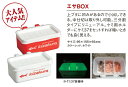 キザクラ(Kizakura) エサBOX (kiza-B)