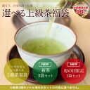お茶/品種別に選べる! 上級茶3個入り福袋 送料無料 【お中元ギフト】【父の日ギフト】進物にも【高機能品種茶】【知覧茶】【さえみどり】【煎茶】【鹿児島茶】【あさつゆ】【ゆたかみどり】【緑茶】【茶葉】【日本茶】【お茶の山麓園】【お茶ギフト】【2017年新茶】