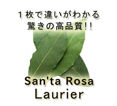 【自然栽培の高品質素材!!】有機オーガニック素材の無農薬・無化学肥料　「ローレル ホール」　5g♪♪【月桂樹/ローリエ/ベイリーフ】【自然栽培】【スパイスハーブ/香辛料】【フェアトレード】