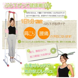 【送料無料】『ぶら下がり健康器』腰痛・肩こりスッキリ!(健康器具ぶらさがり健康器健康法全身ストレッチエクササイズ懸垂効果)