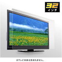 【液晶TV保護フィルター/液晶保護パネル/液晶ガード/テレビガード】液晶テレビ用保護パネル(32インチ・32型)　傷や衝撃からテレビを守る！子供のいたずら防止にも♪【送料無料】NEO-DSP-320