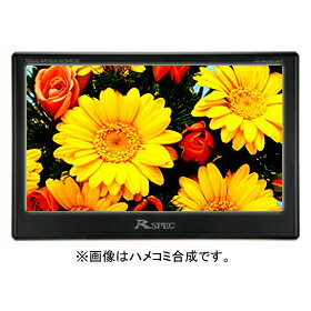 Datasystem 10型ワイドSVGAモニター