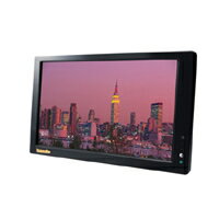 yzWIN-V10WM 10.2C`VGALEDobNCgtJ[j^[