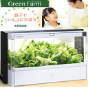  UH-A01E Green Farm 水耕栽培器キット/水耕栽培器セット/グリーンファーム/野菜の栽培に/家庭用野菜工場/ ユーイング(旧 森田電工)