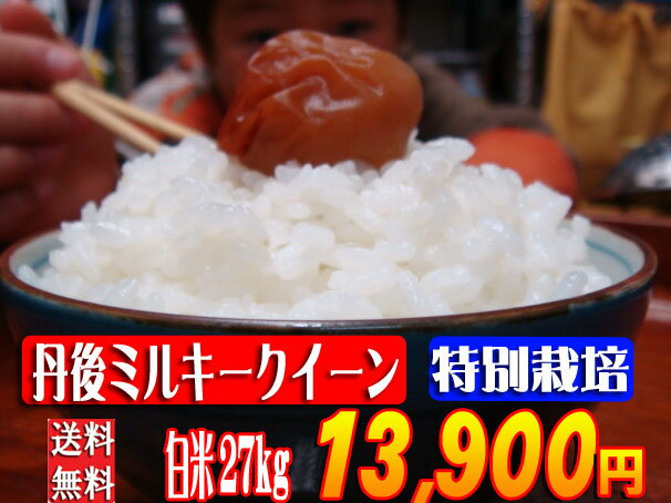 京都丹後ミルキークイーン白米27kg（特別栽培米）