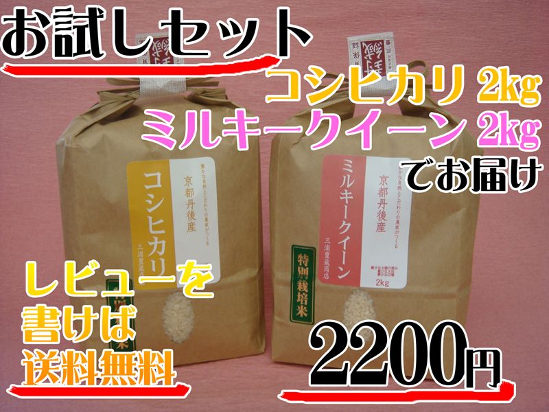 丹後コシヒカリ、ミルキークイーンお試しセット2kgづつ　23年産入荷しました!!レビューを書く！で送料無料！23年産入荷しました!!