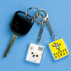 κ߸ˤϼꥭۥåȡĹ硦3ʬˡڤб_ۡڤб_쳤ۡڤб_ᵦ