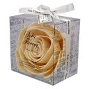 【発売元】Sola Flower ソラフラワー ナ