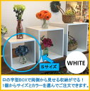 CUBE BOX ロの字(Sサイズ)【送料無料】収