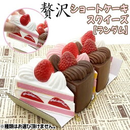 贅沢ショートケーキスクイーズ ランダム