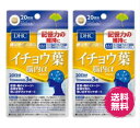 DHC イチョウ葉脳内α 20日分 60粒(18g) 2袋 脳 血流 改善 記憶力 維持 アルファ イチョウ葉 フラボノイド 思い出す力 記憶力 送料無料