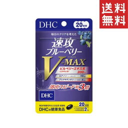 DHC 速攻ブルーベリーV-MAX　20日