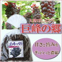 ●【巨峰の郷】【大粒干しぶどう】【干しブドウ】 430g