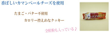 ●キング製菓【チーズブランクッキー】20枚　【ふすまクッキー】【ダイエットクッキー】