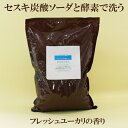 ●【セスキプラス】フレッシュユーカリ 精油ブレンド 1kg 石けん百科 セスキ炭酸ソーダと酵素で洗う