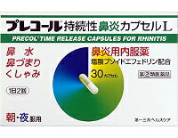 プレコール持続性鼻炎カプセルL 30カプセル【第（2）類医薬品】