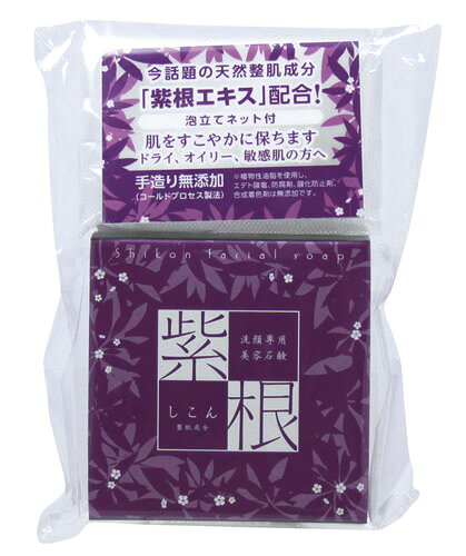 TVˤʤä纬ио졪纬иʥ󤻤äˡ100g