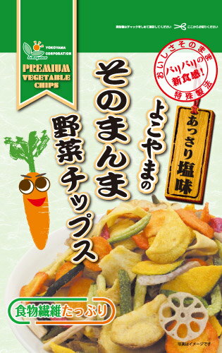 『そのまんま野菜チップス』100g 【マラソン201207_食品】