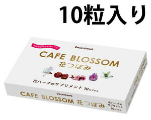 サプリメントタイプ！『ブロッサム花のつぼみ　10粒』 【マラソン201207_食品】