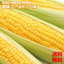 【送料無料】【2Lサイズ】【北海道 十勝 新得町産 萌和農場...