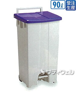 【送料無料】【受注生産品】テラモトボックスカート90青/白90LDS-224-309-3