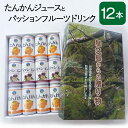 たんかんジュースとパッションフルーツドリンクセット 12本入り 国産 屋久島