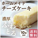 送料無料 鹿児島県産 スティックチーズケーキ10本セット