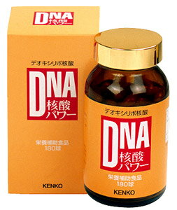 DNA核酸パワー　300mg×180球【RCPdec18】