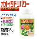 〔k〕オオイタドリパワー 240粒【送料無料】【海外配送対象】【コンビニ受取対応商品】|サツマ薬局|サプリ サプリメント 健康食品 植物性サプリメント 大痛取 イタドリ 植物性◆2017年8月度優良ショップ認定店舗