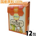 〔bt〕マルシマ かりんはちみつしょうが湯 12g×12袋入〔5654〕| 直火釜炊き 国産原料 健康ドリンク 健康飲料 生姜湯 黒糖 しょうが湯 かりん カリン 蜂蜜 ハチミツ はちみつ 花梨 生姜湯 花梨 しょうが湯 ジンジャー おいしい 葛粉 蓮根 節レンコン粉末 のど 温活