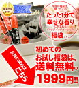 いまだけ!!　送料無料 【澤井珈琲】新発売！1分で出来る コーヒー専門店のドリップバッグのお試し福袋