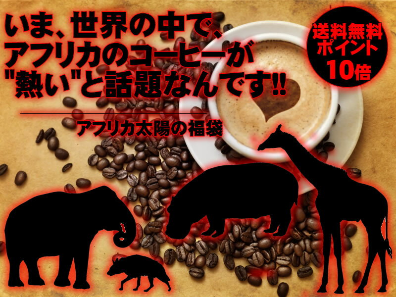 　送料無料　アフリカは太陽のコーヒー福袋コーヒーなら7年連続ショップ・オブ・ザ・イヤー受賞の澤井珈琲。ご注文を頂いてから焙煎したコーヒー、コーヒー豆をお届け♪