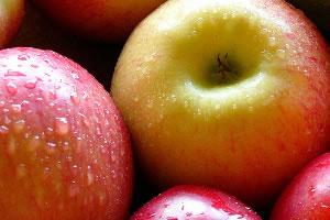 ֤䤫ʴŤåץη ꥸʥƥХå15