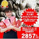 　送料無料！澤井珈琲　一番人気のやくもブレンド200杯分入り　超大入コーヒー福袋　（コーヒー/コーヒー豆/珈琲豆）コーヒーなら8年連続ショップ・オブ・ザ・イヤー受賞の澤井珈琲。ご注文を頂いてから焙煎したコーヒー、コーヒー豆をお届け♪