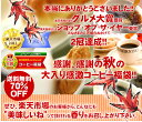 【澤井珈琲】　秋味バージョンにパワーアップ!! ドカンと詰ったコーヒー福袋　（コーヒー/コーヒー...