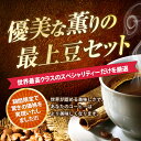 【澤井珈琲】コーヒー専門店でしか買えないスペシャリティーコーヒーセット(コーヒー/コーヒー豆/珈琲豆)