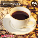 【澤井珈琲】グァテマラSHB-Guatemala SHB- 100g袋 (コーヒー/コーヒー豆/珈琲豆)【キャッシュレス5%還元】