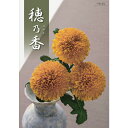 カタログギフト 穂乃香 べにふじ (ゆうパケット)メール便利用可能商品です 【引出物 内祝 お返し 出産内祝い 出産祝い 快気祝い 香典返し ギフト 御祝 景品 粗品】ハーモニック【_