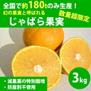数量超限定 紀伊路屋じゃばら果実 3kg【希少果実 ジャバラ】【ナルリチン豊富】【天然にがり稲村の塩を使って栽培】【和歌山県有田郡産】【紀伊路屋(長谷農園)】(2019年1月7日以降順次の発送)