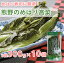 【16日9:59まで5倍】お歳暮のし対応可 熊野のめはり高菜300g×10袋【国産】【代引き不可】