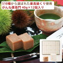 【2日9:59までポイント2倍★】栗きんとん手作り がんね栗衛門 40gサイズ×12個入り 無添加 がんね栗の里【お歳暮のし対応可】