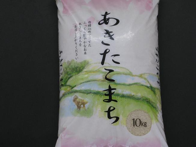 【送料無料】23年長野県産あきたこまち　10KG　※北海道・九州・四国・沖縄・一部離島は別途送料が掛かります。