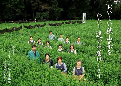 武蔵野100g生粋の狭山茶
