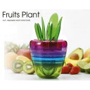 Fruits Plant(フルーツプラント) CH