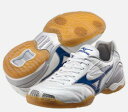 ★お買い得50％OFF★　ミズノ【MIZUNO】　フットサルシューズ　ウエーブ グレヴィスタ　　12KF830