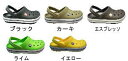 Ϥȥå˴㡪10%OFFʡۥåХCROCS crocbandڤб_̡ ڤб_ۡasubon2010